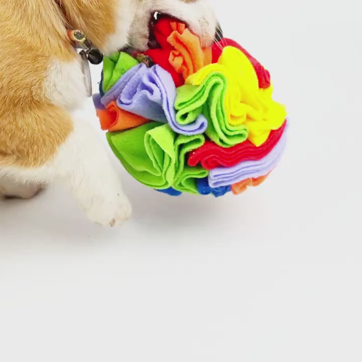 Interactive Snuffle Ball - Enrichment Puzzle Toy